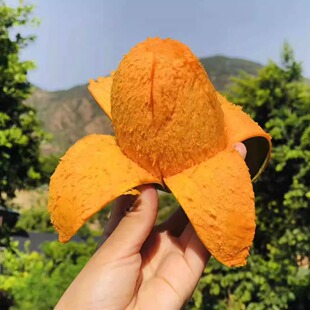 攀枝花椰香芒果鸡蛋芒无纤维新鲜热带水果净重5斤8斤指定地区包邮