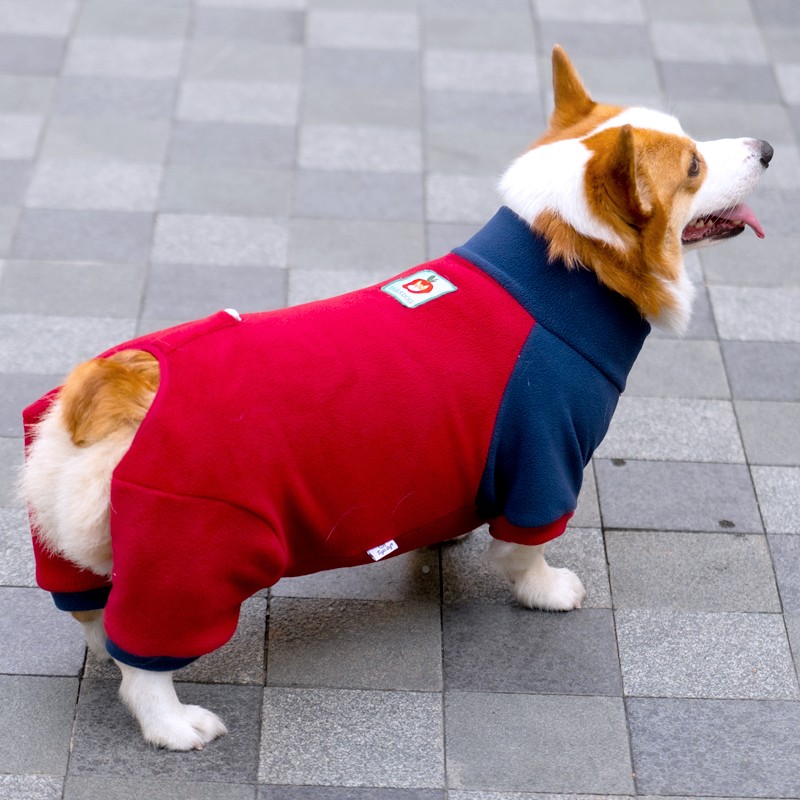 CD-20241柯基专用四脚护肚衣狗狗腊衣防服秋冬款柯包基肠犬肚子着