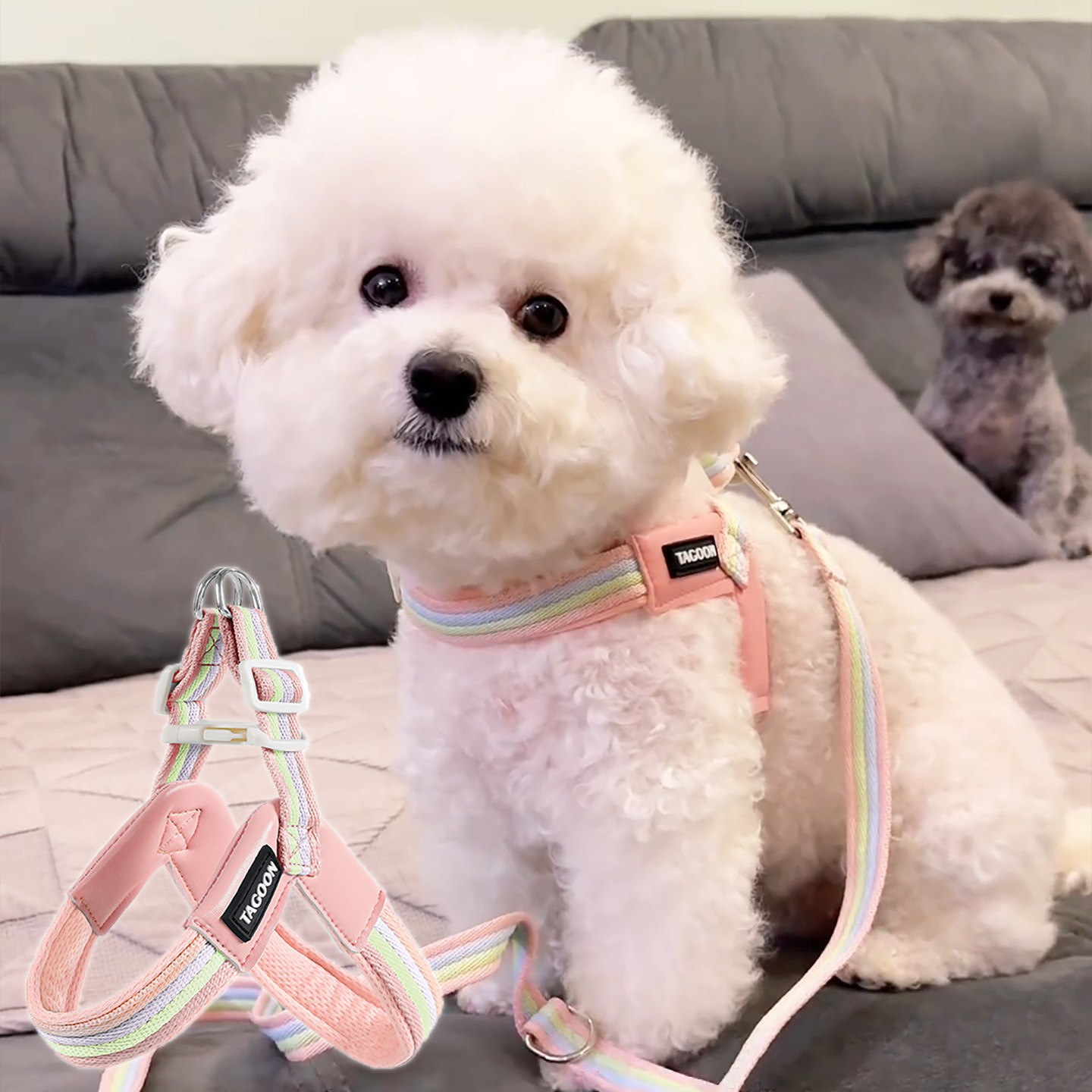 背心式狗熊狗牵引绳小型犬泰迪比专用 可调节CD-20250抱婴袋遛狗