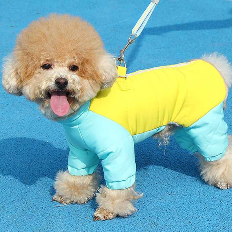 CD-20241泰迪狗狗中衣秋冬款棉衣包肚衣小犬比熊服博美冬季保暖四