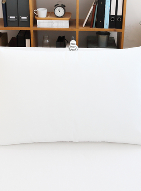 水洗棉纯白色枕套一对装拍2枕头套家用单人学生宿舍枕芯套一只