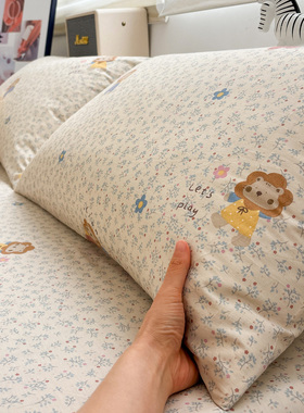 狮子座全棉枕套单只纯棉可爱儿童30×50cm小枕头套加厚成人一对装