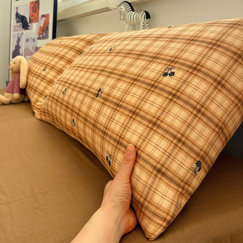 唐朝一只鱼双层纱糖炒栗子枕套