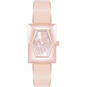 KLEIN安妮克莱因女士腕表夜光计时简约时尚 代购 ANNE 金属防水