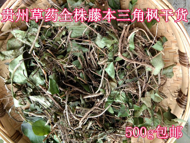 贵州野生中药材三角枫干货500g 中草药三各风藤本山角峰全株 包邮