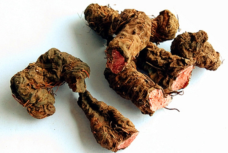 贵州野生中草药材草血竭 干货拳参山参老腰弓倒根草地马蜂1斤包邮