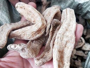 贵州山货天麻中药材干货250克 中草药黔麻自晒黔冬麻新晒天麻干货