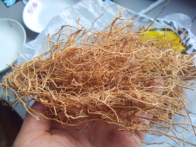 贵州地产山货徐长卿中药材 对叶莲竹叶细辛獐耳草辽刁竹干货500克