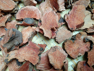 贵州山货红土茯苓中药材 金刚藤刺猪苓金刚刺红土苓自晒干货500克