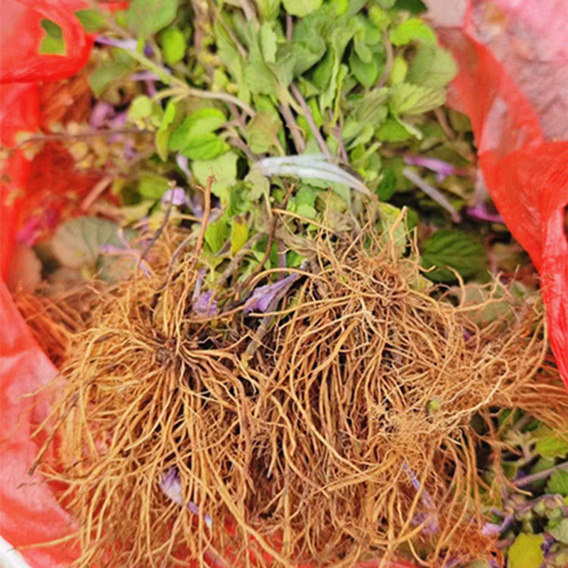 贵州山货半枝莲中药材 韩信草 牙刷草 半支莲野生 半边莲全株干货