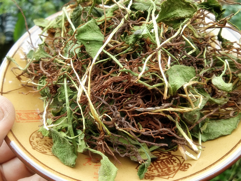 新晒一支箭全株中药材 蛇须草蛇咬子蛇吐须青藤瓶儿小草干货草药
