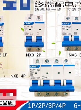 正泰昆仑NXB-63小型断路器1P2P3P4 C10C16C20C32C40A空气开关DZ47