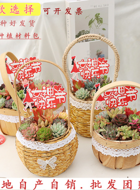 教师节多肉花篮Diy种植材料包植物微景观手提篮暖场活动伴手礼品