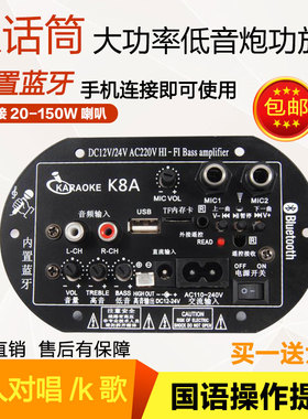 双话筒大功率蓝牙功放板12V24V220V低音炮功放板音箱主板内置蓝牙