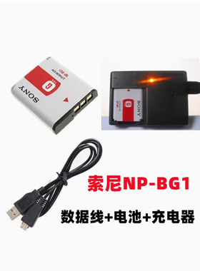 适用索尼DSC-WX10 HX7 HX9V H70 HX7C相机NP-BG1电池充电器数据线