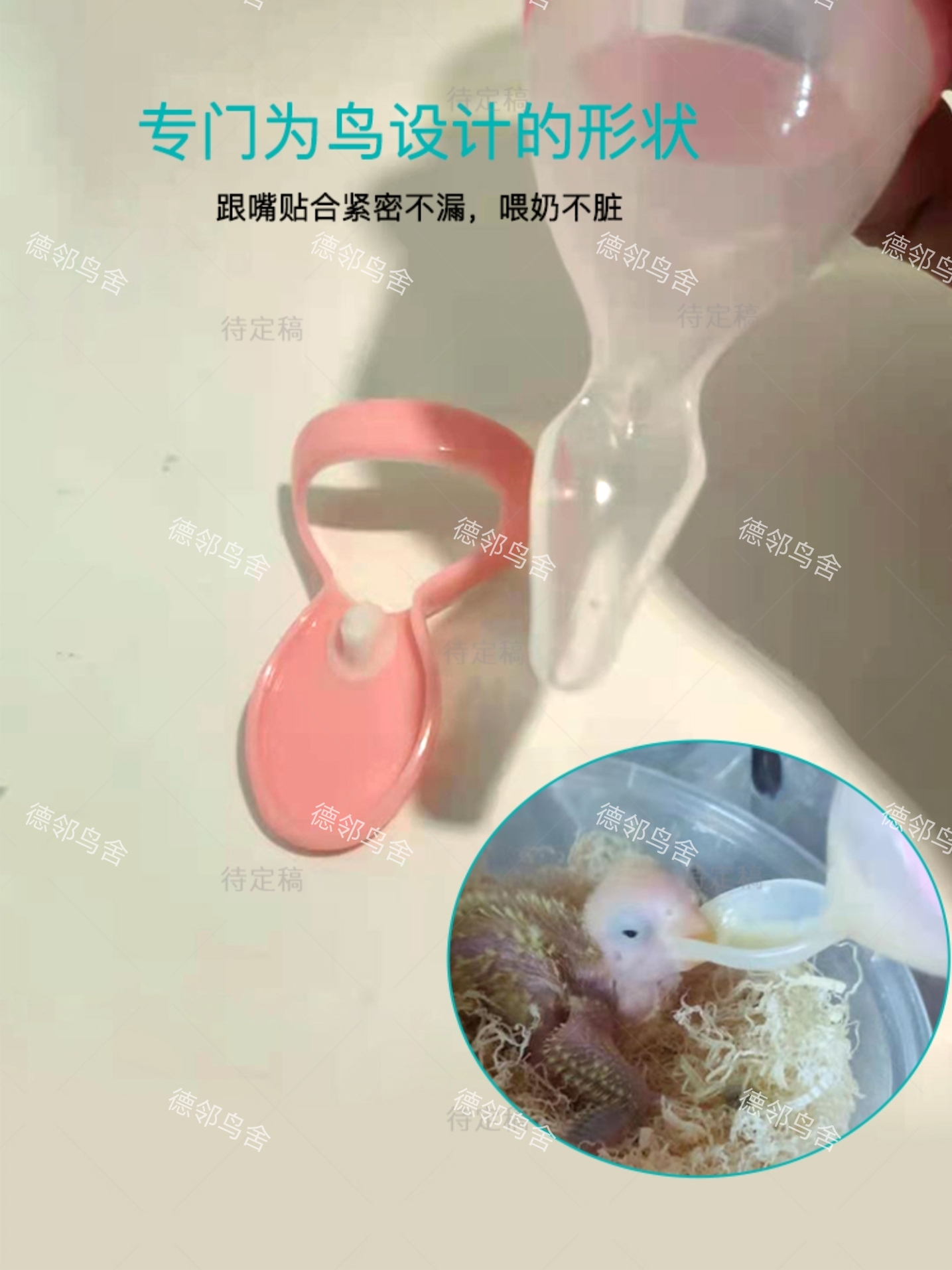 德邻鸟舍自用蓝粉色鹦鹉雏鸟挤压式喂奶工具乳胶碗勺一体全国包邮