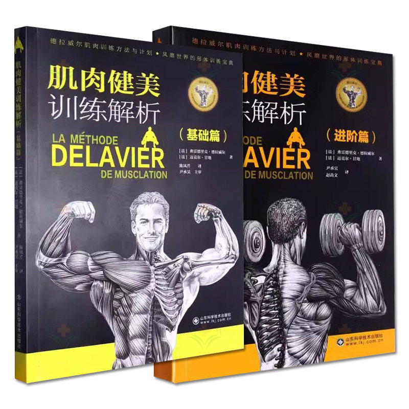 全2册肌肉健美训练解析进阶篇+肌肉健美训练解析基础篇 常用健身动作锻炼手臂肩膀背部肌大腿前侧肌肉 山东科学技术出版社