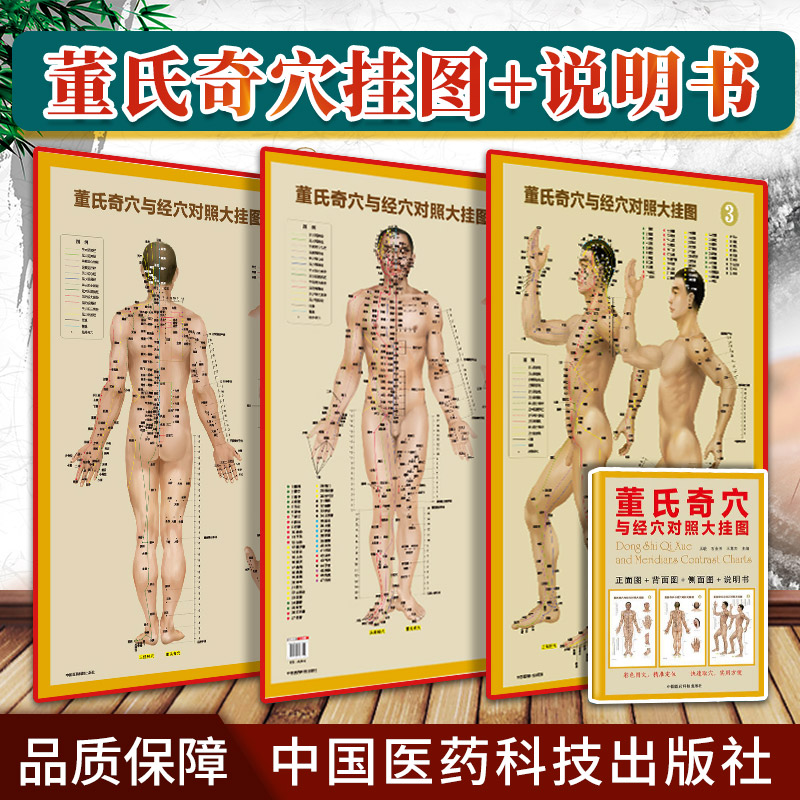 正版3张 董氏奇穴与经穴对照大挂图 可搭配邱雅昌杨维杰董氏奇穴实用手册原理结构穴位诠解治疗析要等书籍中医董氏奇穴针灸全集