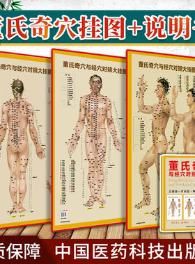 正版3张 董氏奇穴与经穴对照大挂图 可搭配邱雅昌杨维杰董氏奇穴实用手册原理结构穴位诠解治疗析要等书籍中医董氏奇穴针灸全集