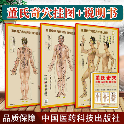 正版3张 董氏奇穴与经穴对照大挂图 可搭配邱雅昌杨维杰董氏奇穴实用手册原理结构穴位诠解治疗析要等书籍中医董氏奇穴针灸全集