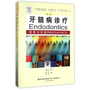 译者 薛晶 精 穆罕默德·特拉白哲德 理查德·华生 美 第5版 编者 高原 asy 阿什拉夫·浮阿德 牙髓病诊疗原理与实践