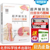 诊断学医学影像图谱人体断层彩超书籍正常值测量备忘录技术入门b超血管肌骨心超笔记腹部精细讲解解剖扫描 超声解剖及扫查技巧图解