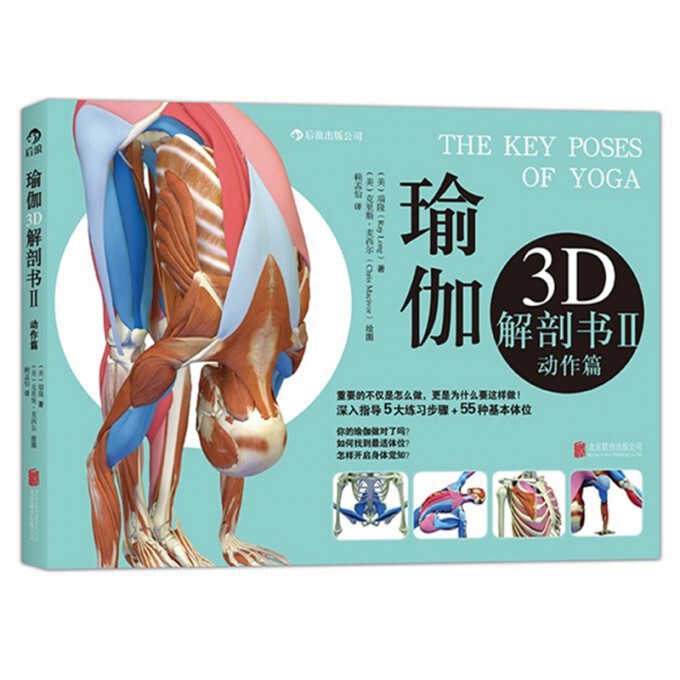 asy 瑜伽3D解剖书(Ⅱ动作篇) (美)瑞隆|译者:赖孟怡|绘画:(美)克里斯·麦西尔 9787550233454 北京联合