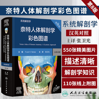 正版奈特人体解剖学彩色图谱系统解剖学第8八版神经肌肉骨骼生理学基础肌动学图鉴列车格氏结构和功能八版正常法医人卫版解刨解剖