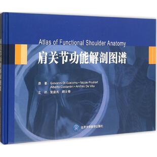 Giovanni 等 肩关节功能解剖图谱 贾科莫 9787565910357 社 asy 著作 意 顾文奇 著;柴益民 Giacomo 北京大学医学出版 译