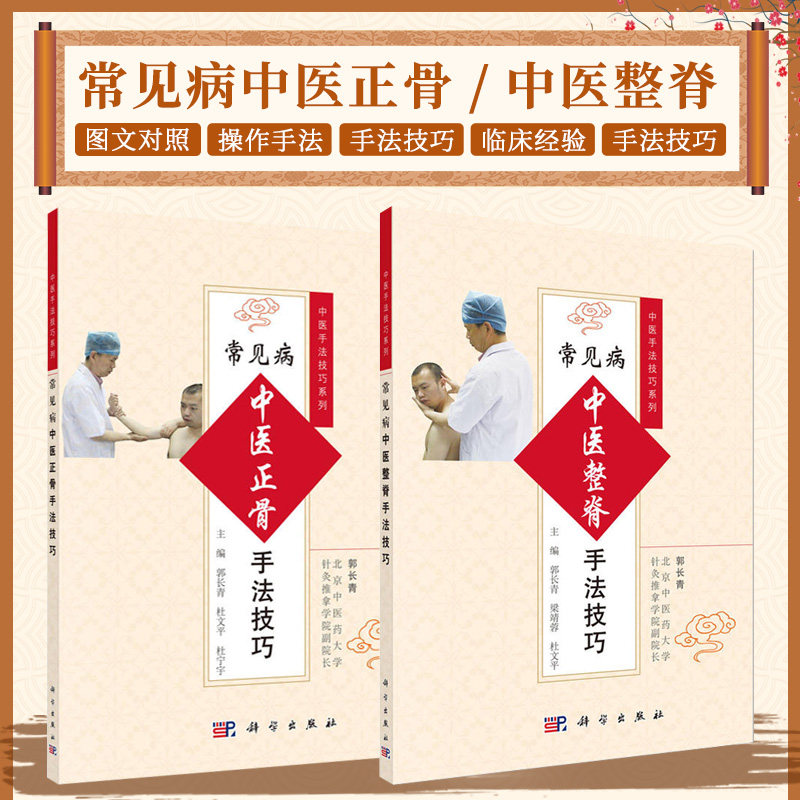 常见病中医手法技巧系列 正骨+整脊全2册 中医推拿按摩书 整脊疗法的基础知识 常见脊椎疾病的整脊治疗 针灸疗法 科学出版社