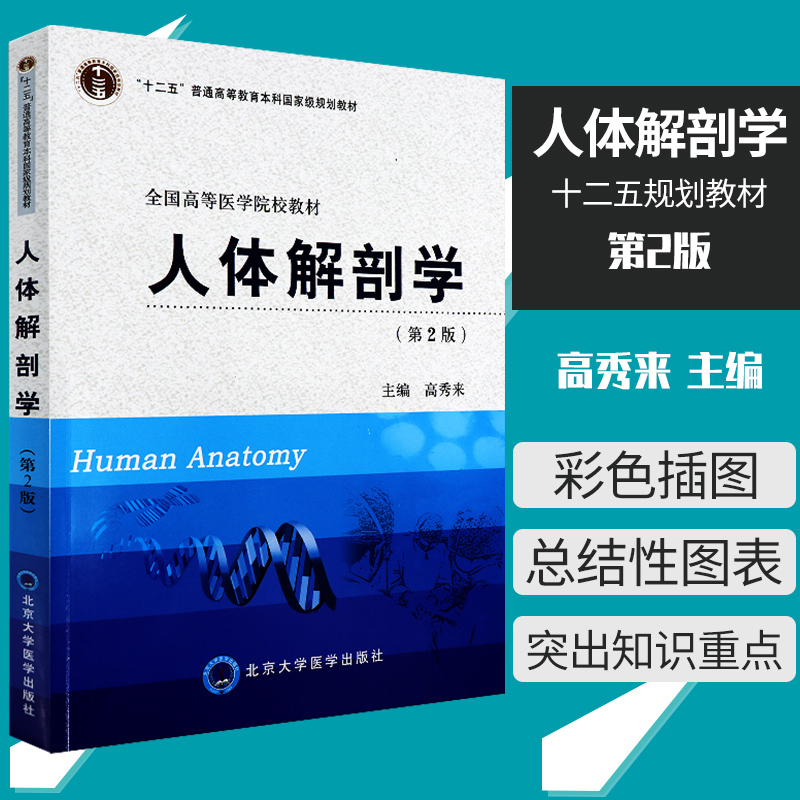 正版包邮 人体解剖学(第2版)/普通高等教育 十二五规划教材全国高等医学院校教材 高秀来 北京大学医学出版社