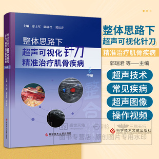 整体思路下超声可视化针刀精准治疗肌骨疾病 中册 宓士军 郭瑞君 郭长青 科学技术文献出版社 肌肉骨骼系统针刀疗法医学书籍