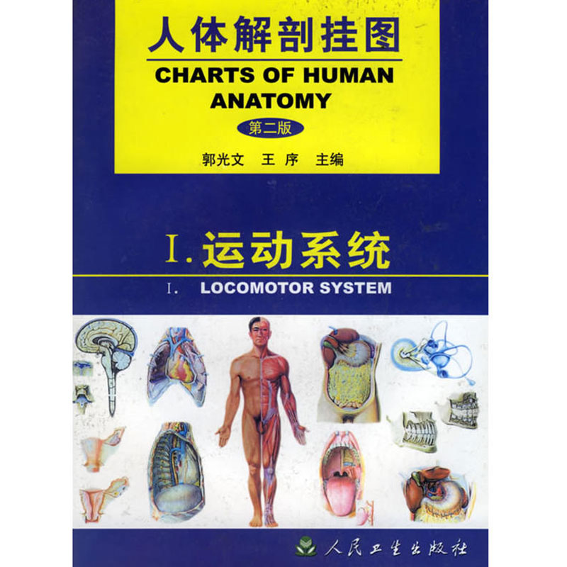 人体解剖挂图:运动系统 一图多用的方法予以展示 肋骨及肋椎连结 脊柱全貌 郭光文 序主编 9787117038027 人民卫生出版社