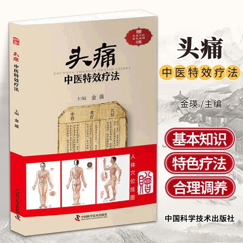 头痛中医 疗法 金瑛 中国科学技术出版社 可供基层医师借鉴学习 中医爱好者 患者及其家属了解头痛的治疗 辨证分析头痛原因