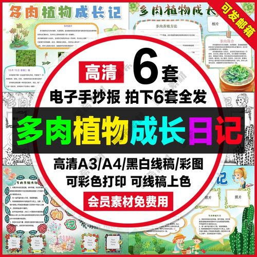 多肉植物成长记电子小报植物成长观察日记word手抄报a4线稿8k模板