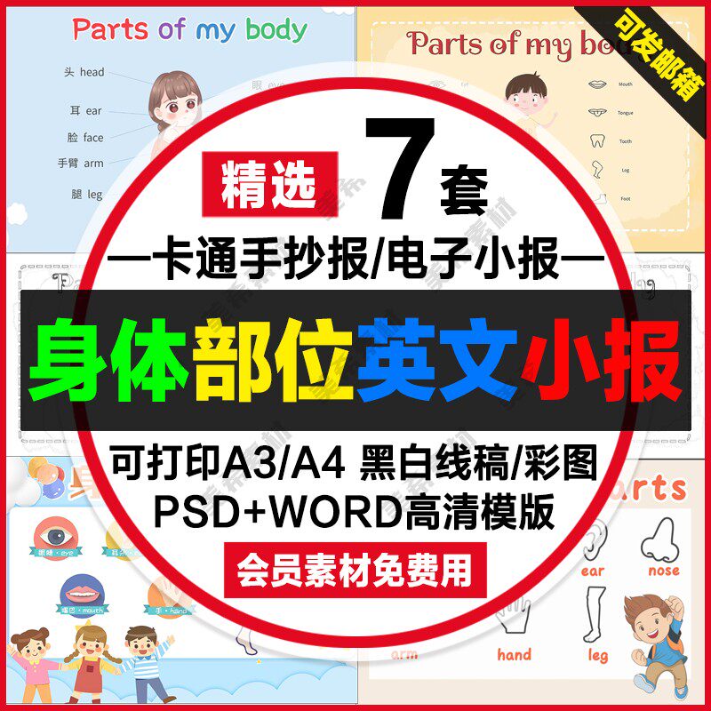 身体部位英文小报电子模板中小学生涂色线稿a4手抄报a3模版8k素材