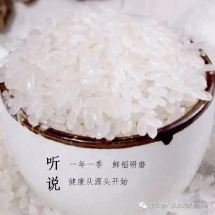 东阳巍山嵊州片区种植本地大米晚籼硬米非东北五常三碗米业
