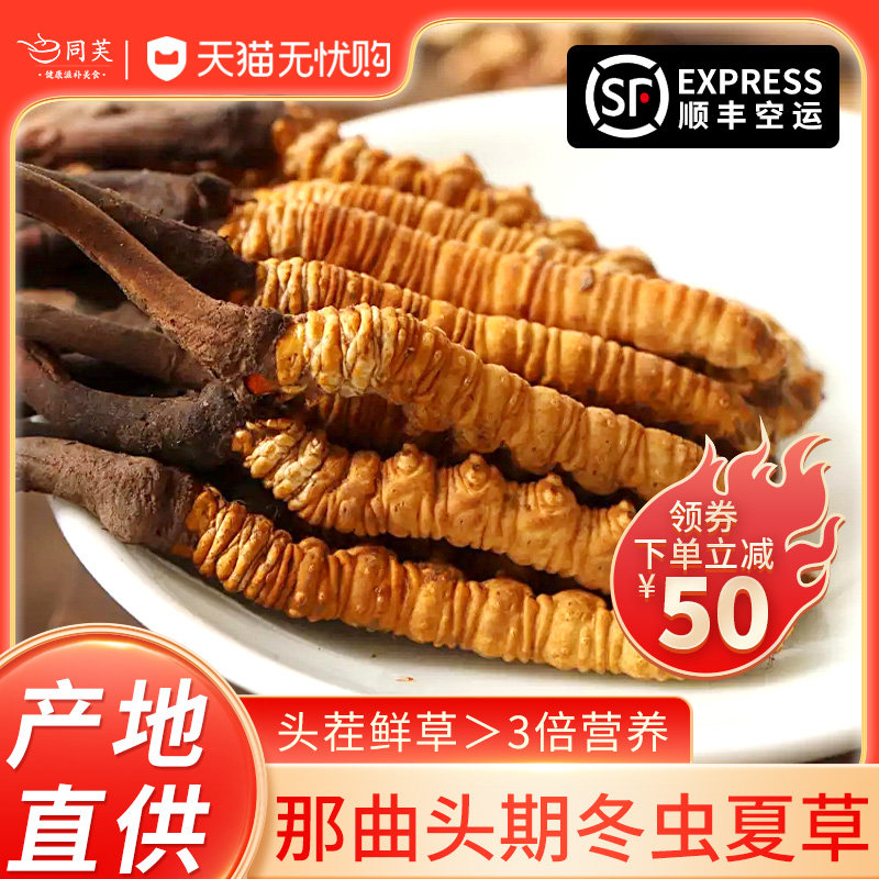 Cordyceps fresh Flagship store dried food specialty Cordyceps Tibet Nagqu quality goods Soup Tonic health preservationin the Traditional nourishing food , Cordyceps  category - from Buy2taobao.com to provide professional Taobao agent buy service