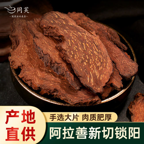 正宗内蒙古锁阳片500g正品锁阳粉