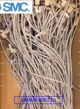 全新原装SMC磁性开关 D-M9BWV D-M9BWVM D-M9BWVL D-M9BWVZ 现货