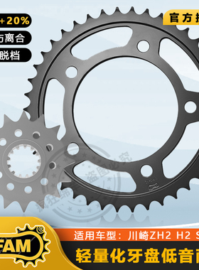川崎ZH2 H2 SX SE ZX1000前后链盘大小齿轮牙盘 大小飞 链条 AFAM