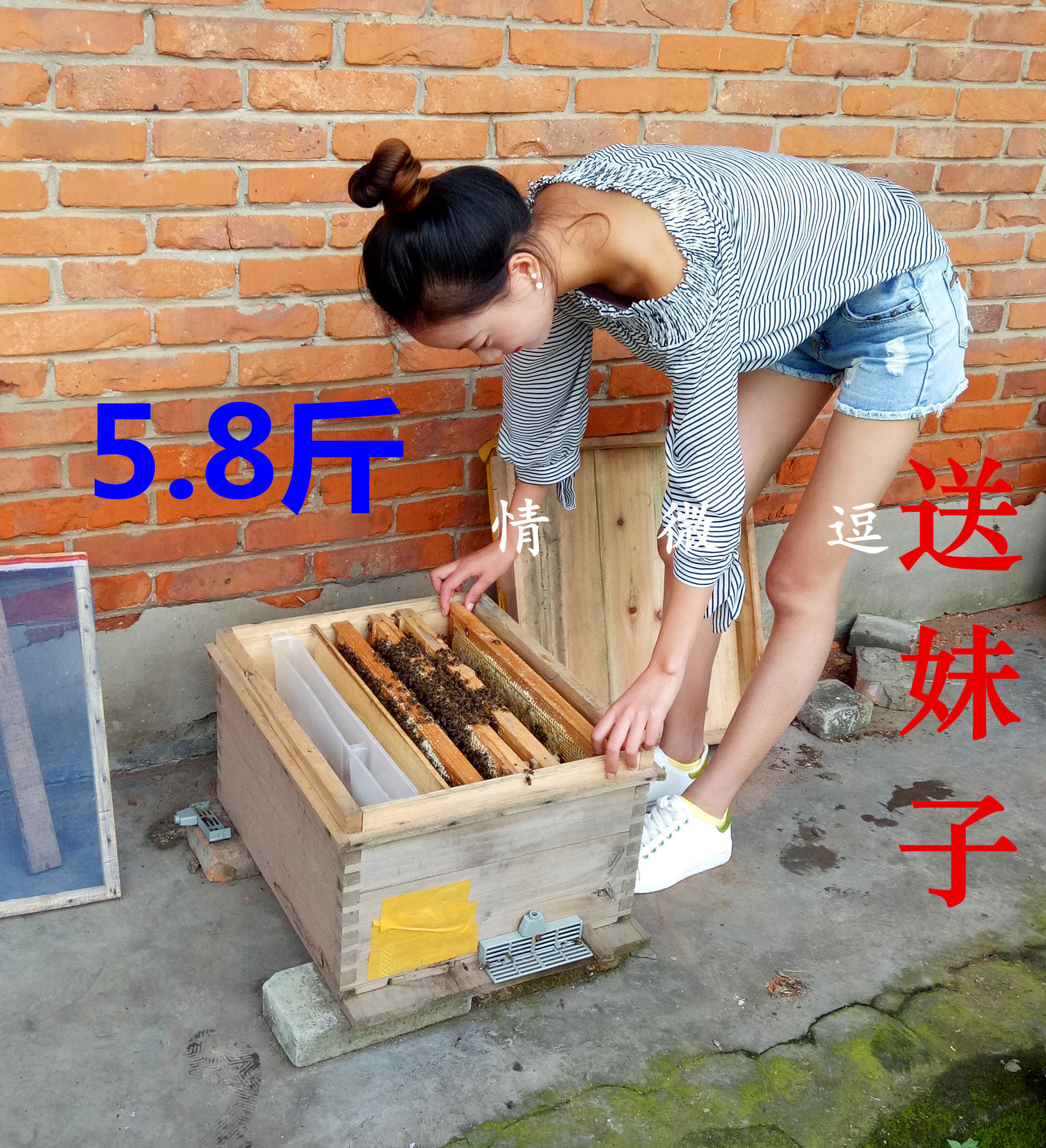Red for a long time Apiculture Expansion Bean flour honeybee feed Substitution Pollen Cole slurryin the Traditional nourishing food , Bee , Other bee  category - from Buy2taobao.com to provide professional Taobao agent buy service