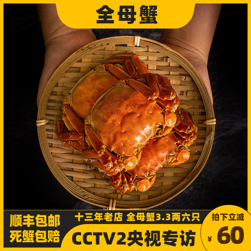 现货蟹王岛全母蟹3.3两六只装