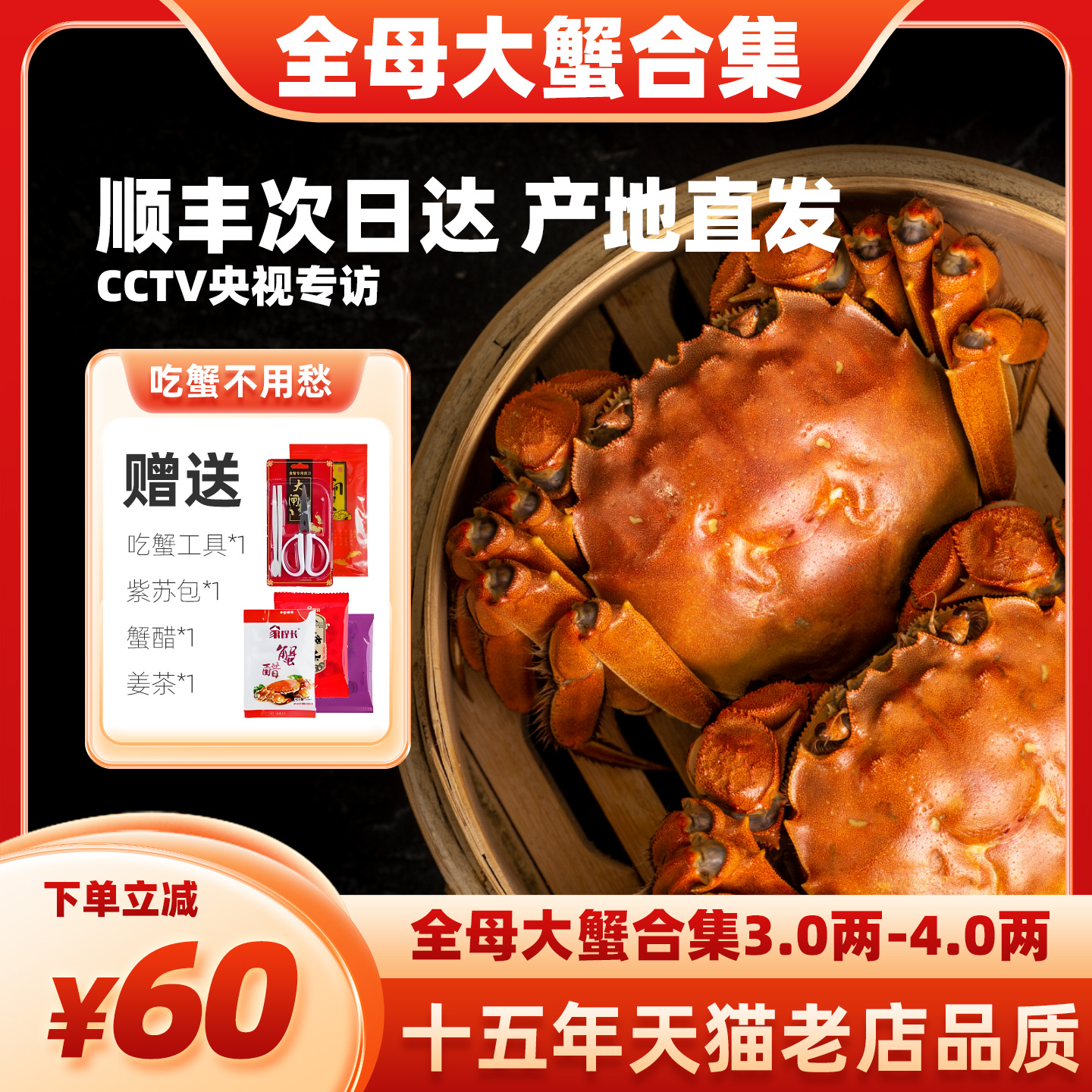 蟹王岛全母蟹3.0两-4.0两大蟹集