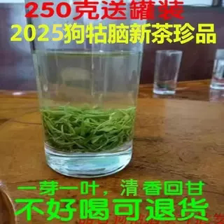 2025狗牯脑茶明前珍品特级江西吉安遂川绿茶春茶250克可配礼盒装