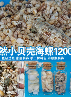天然小海螺diy手工材料包贝壳画