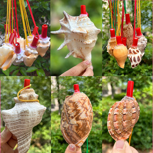 天然海螺号角贝壳工艺品地摊货源儿童玩具可吹响大小螺号喇叭口哨