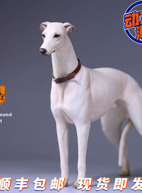 【动力潮玩】Mr.Z 仿真动物  灵缇犬 格力犬  GD001款 白色