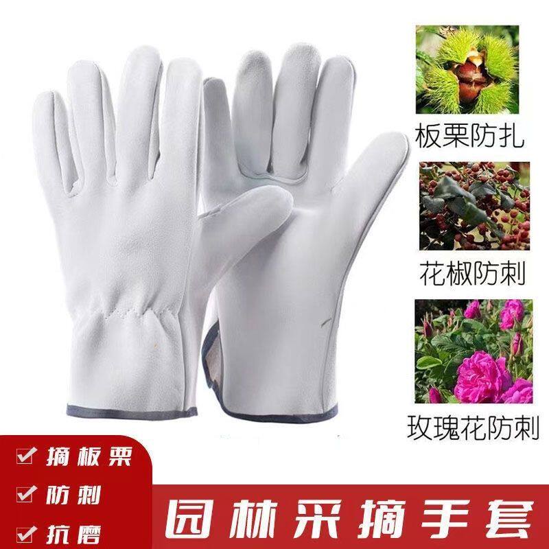羊皮手套软皮园艺修剪玫瑰花