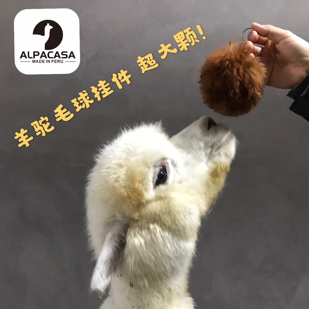 羊驼毛球钥匙圈挂件alpacasa轻奢